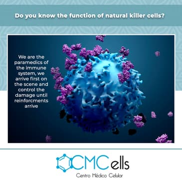 Slider image (3) Cmcells, Centro Medico Celular, (Stem Cells Medical Center)